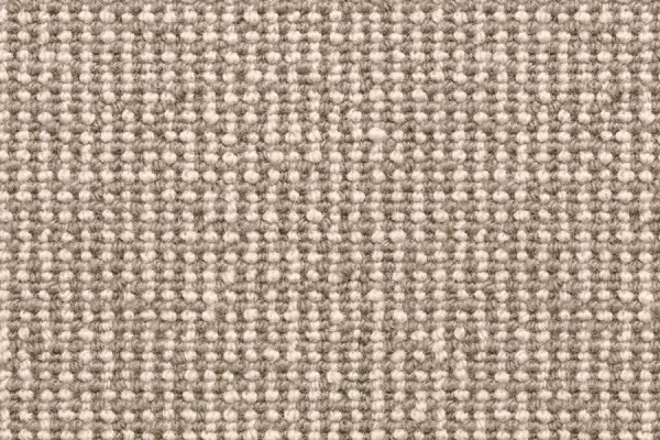 Queenstown BUNTING - 25/1431