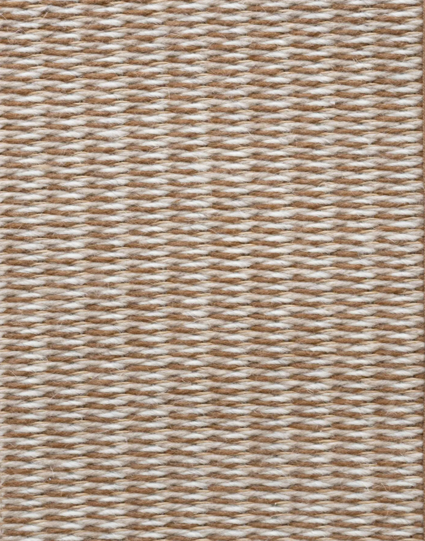 Unguja Hazelnut