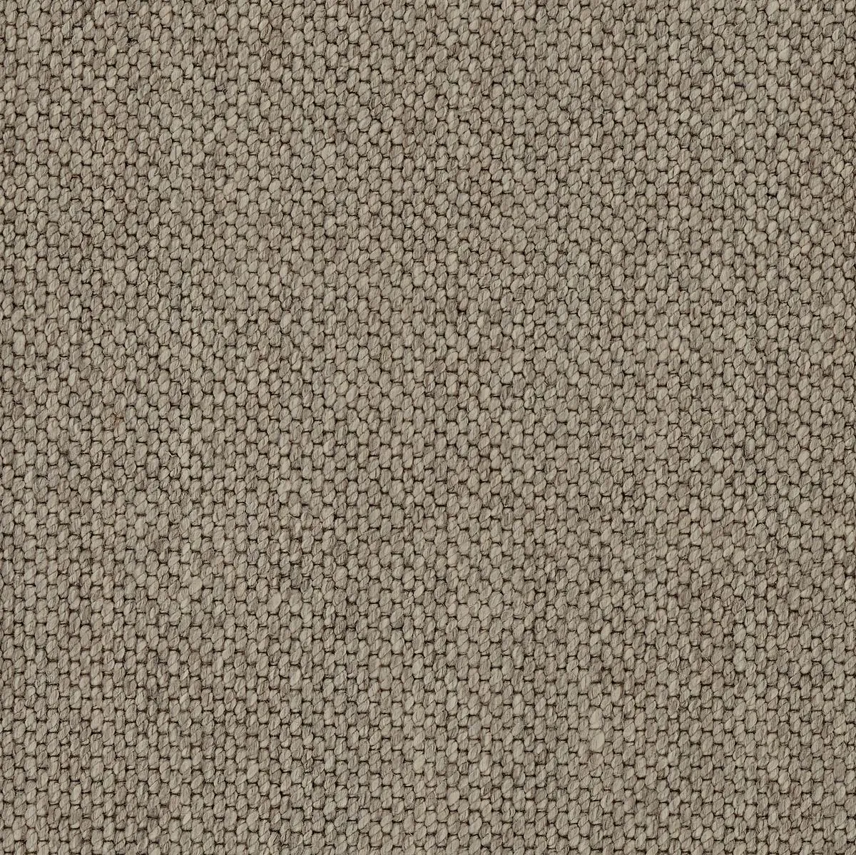 Stollens Grey