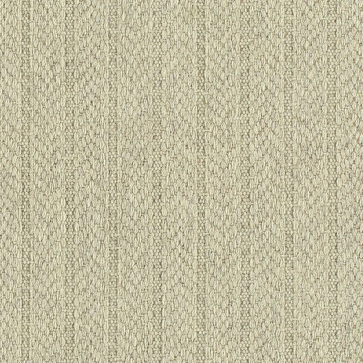 Frost Nip Silver