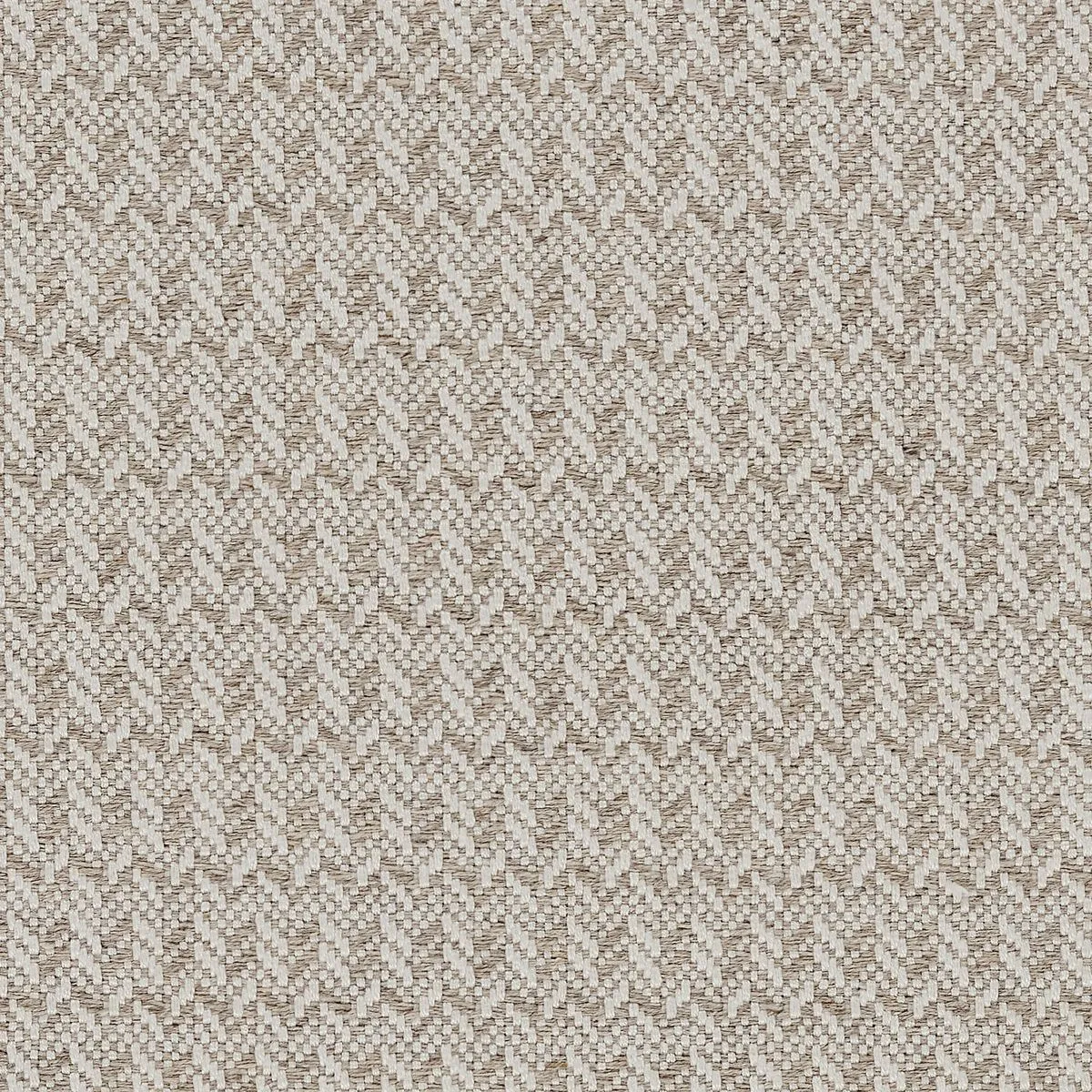 Brotherhood Beige