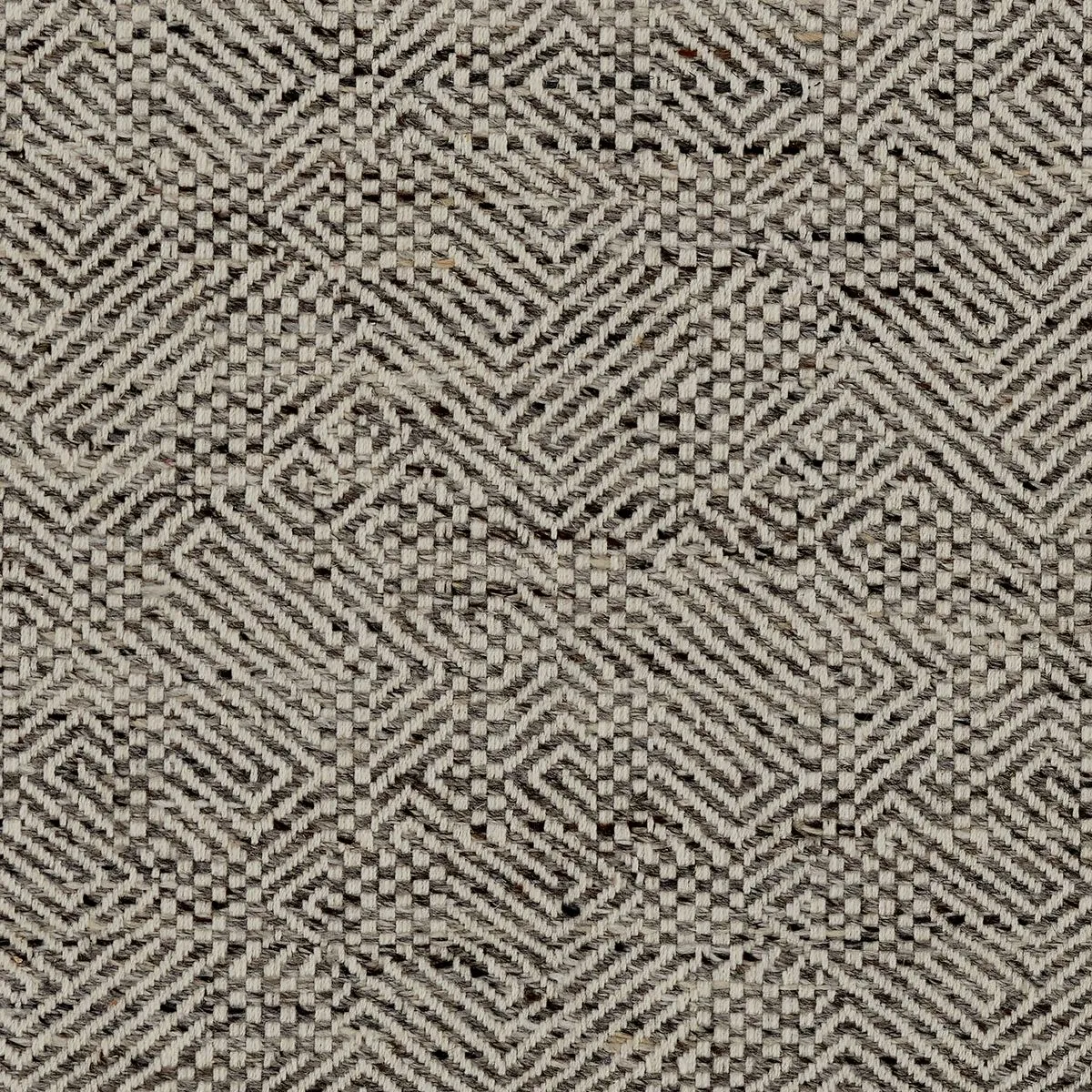 Kinetics Charcoal