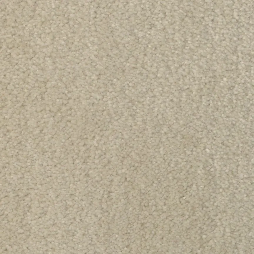 Temptation Ivory Cream