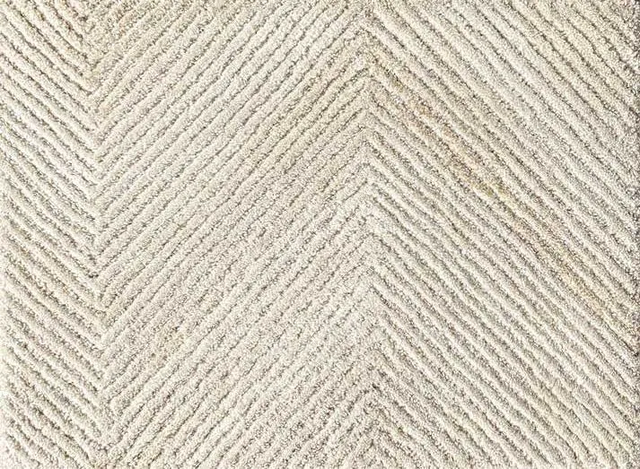 Kalahari Brittlebrush
