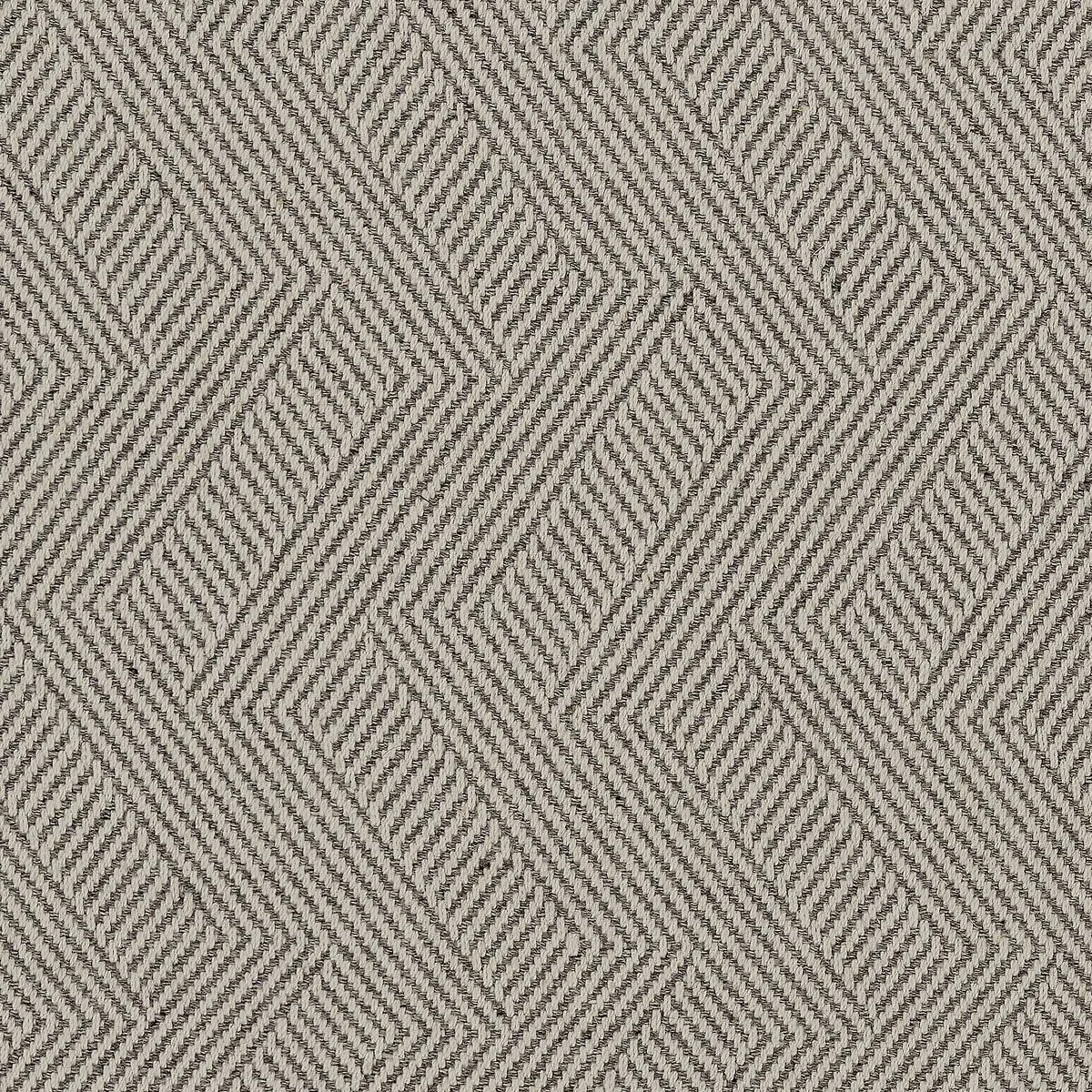 Illustrator Grey