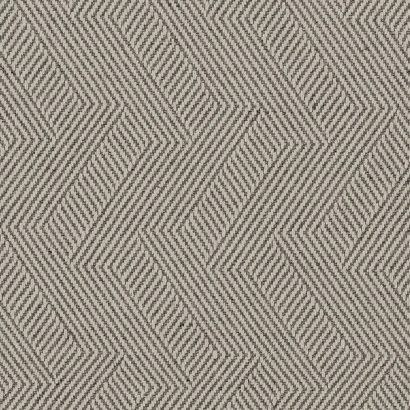 Illustrator Grey