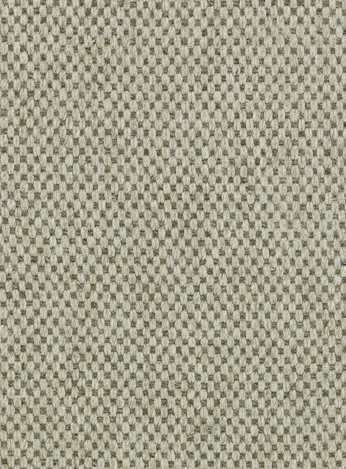 Edwin Beige