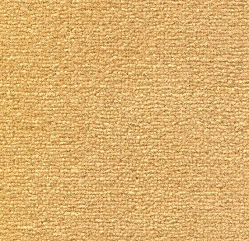 Amsterdam Oro