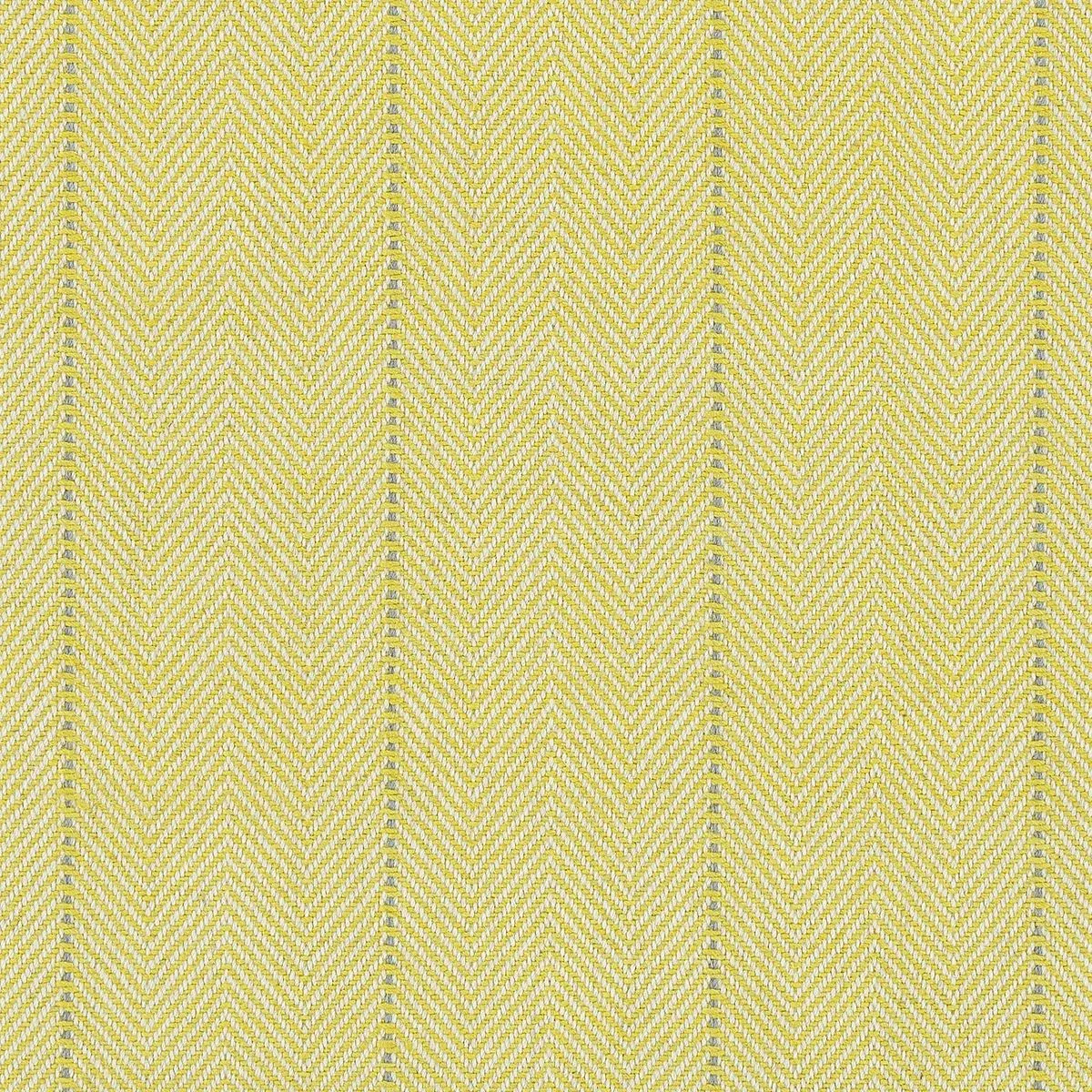 Langstone Stripe II Maize