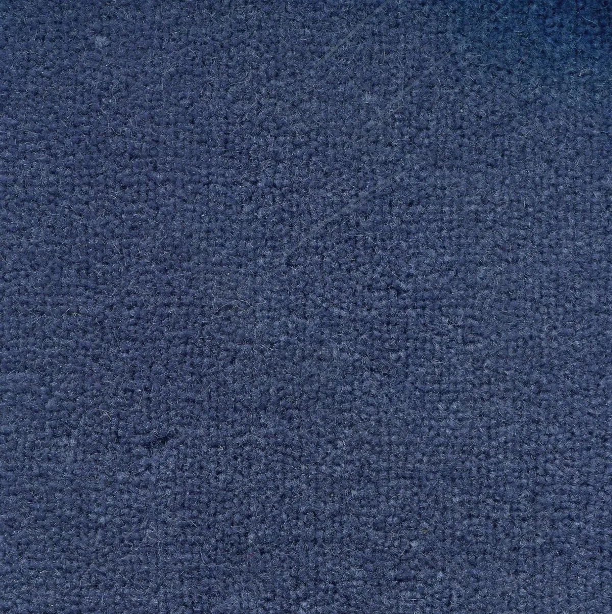Amsterdam Bluette