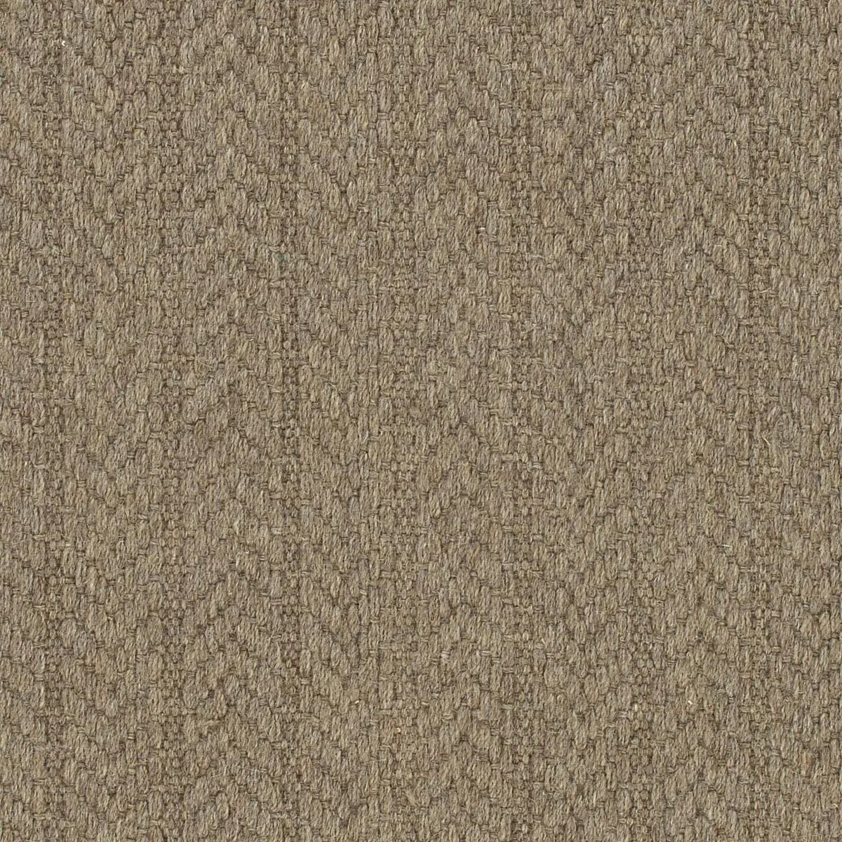 Frost Nip Mocha