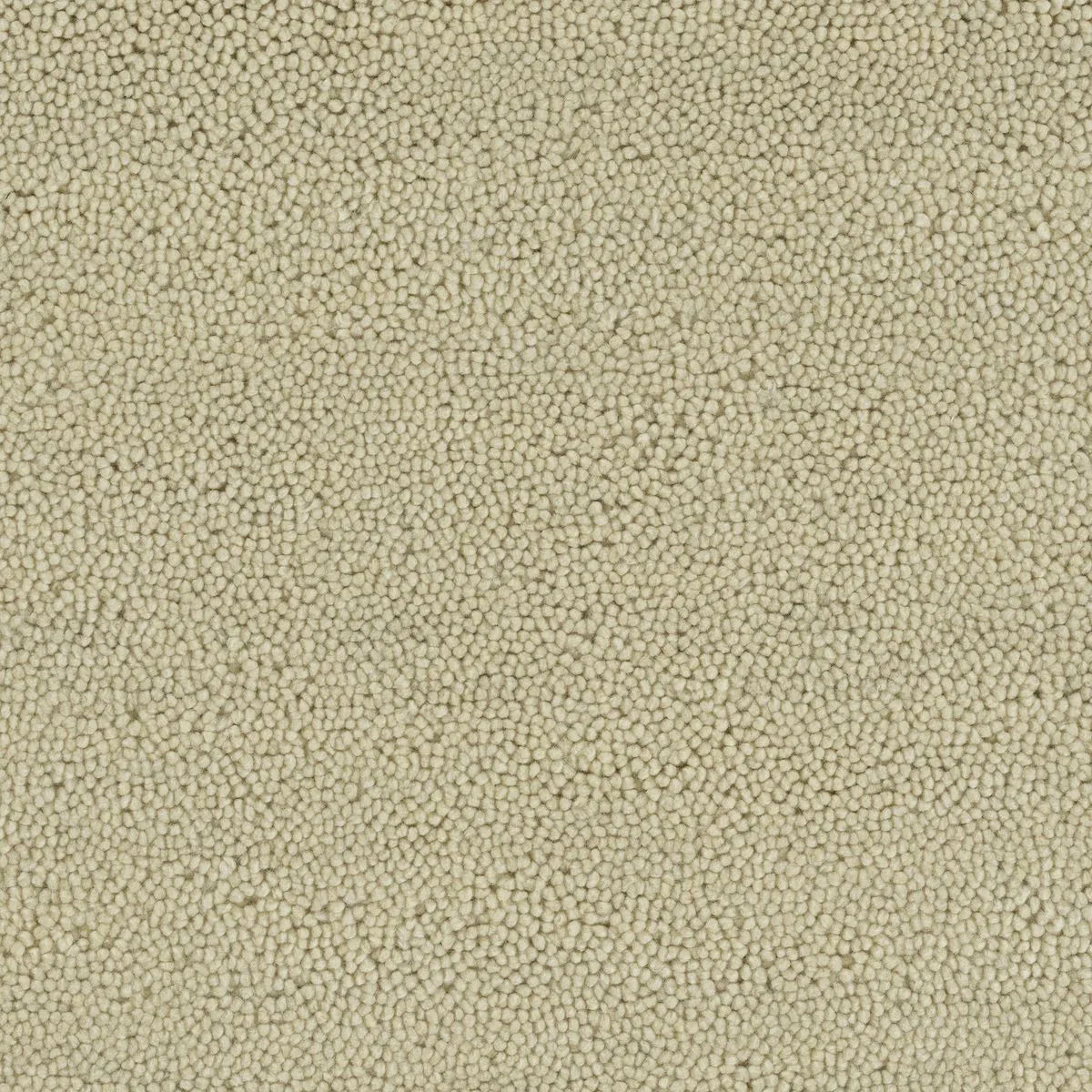 Namche Ivory