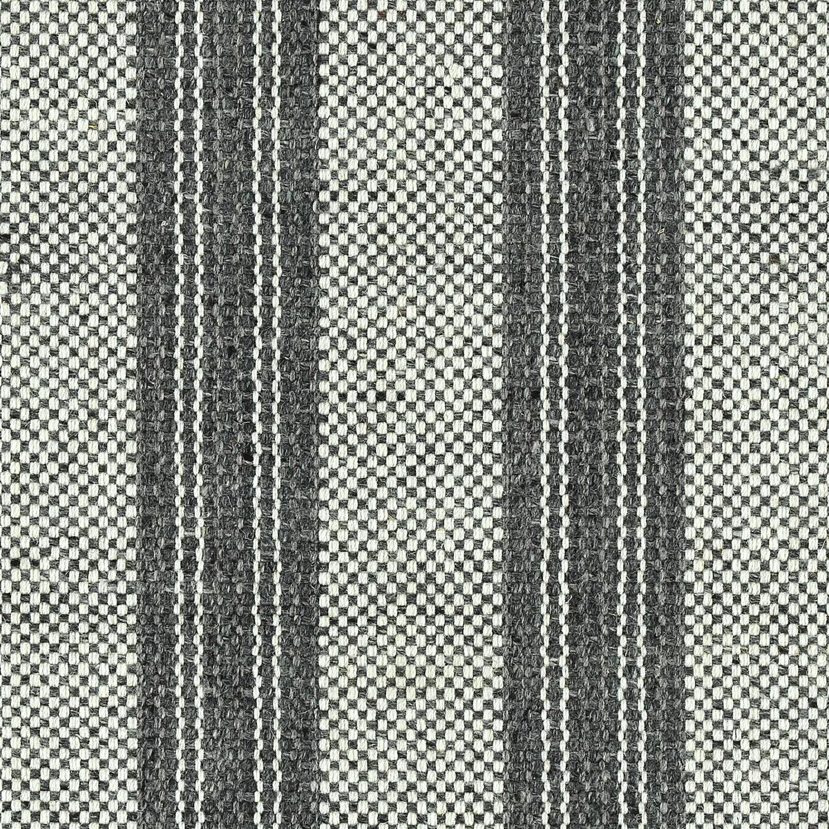 Fantoccini Charcoal