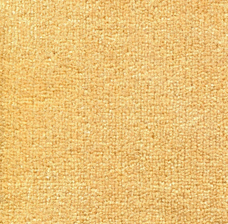 Amsterdam Sand