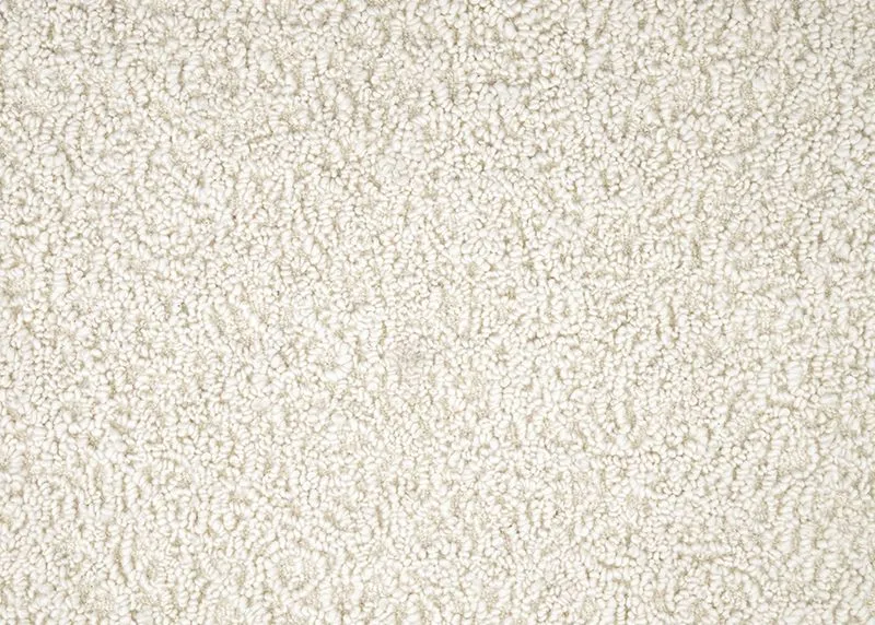 Delonix Ivory