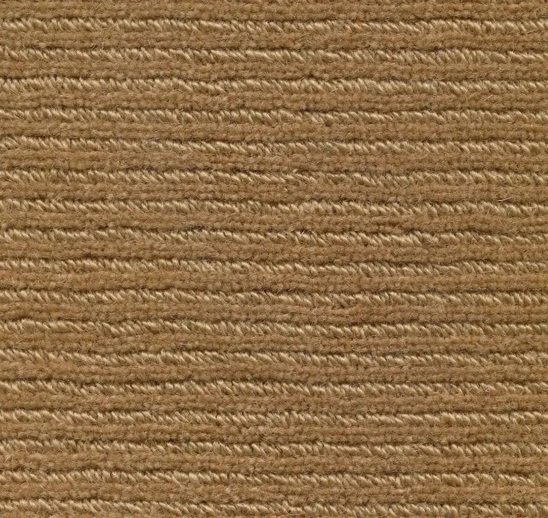 Correlia Camel