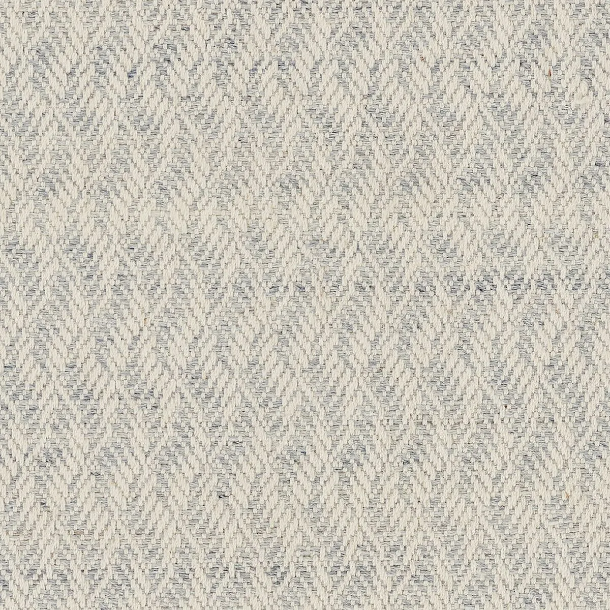 Tortuosities Blue