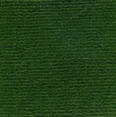 Erba