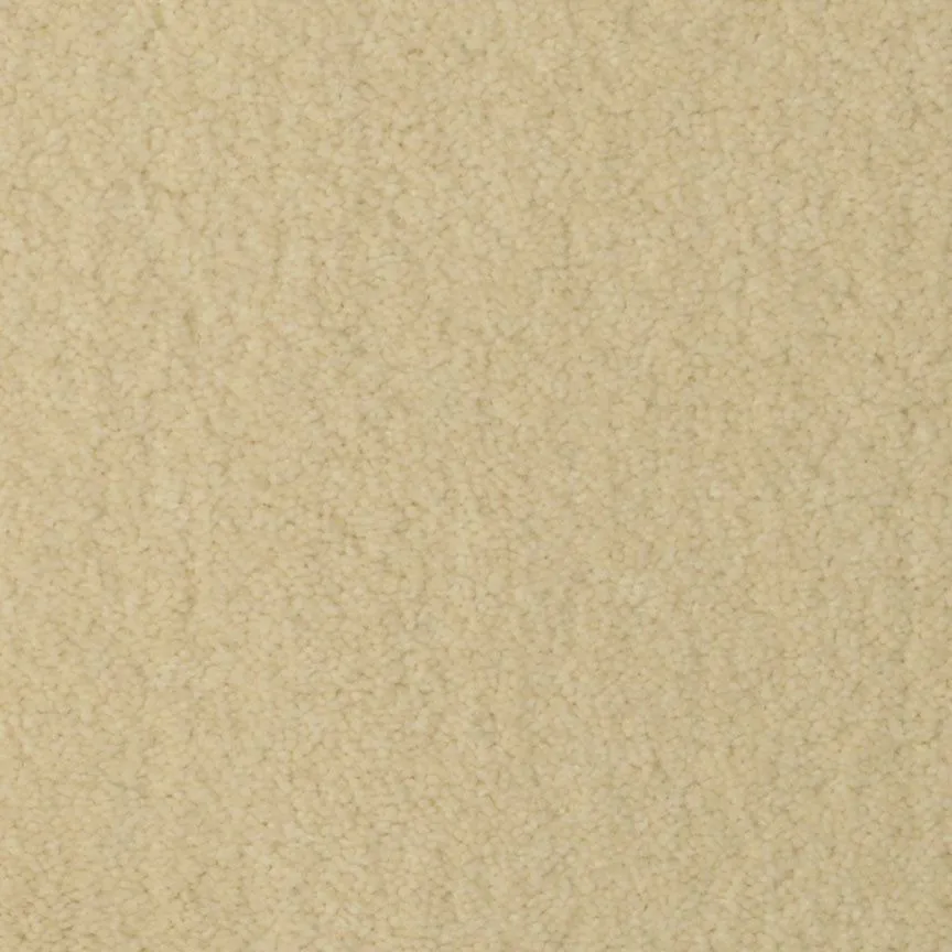 Temptation Harmonic White