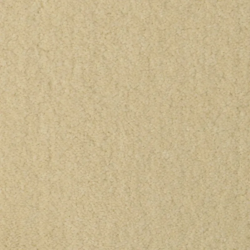 Temptation Harmonic White