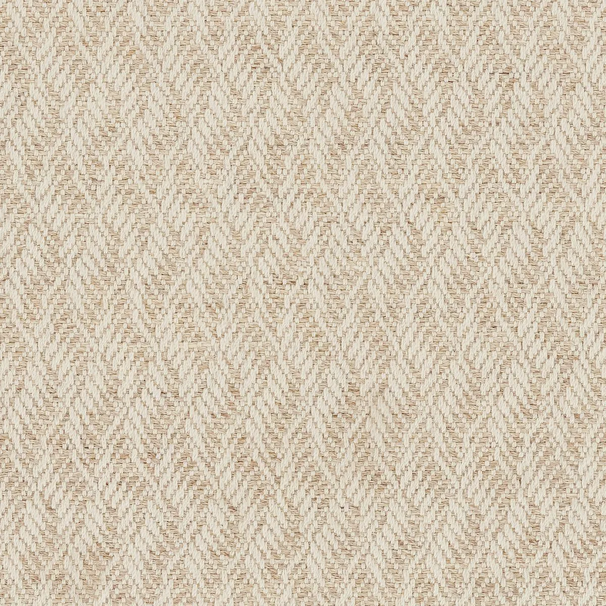 Tortuosities Beige