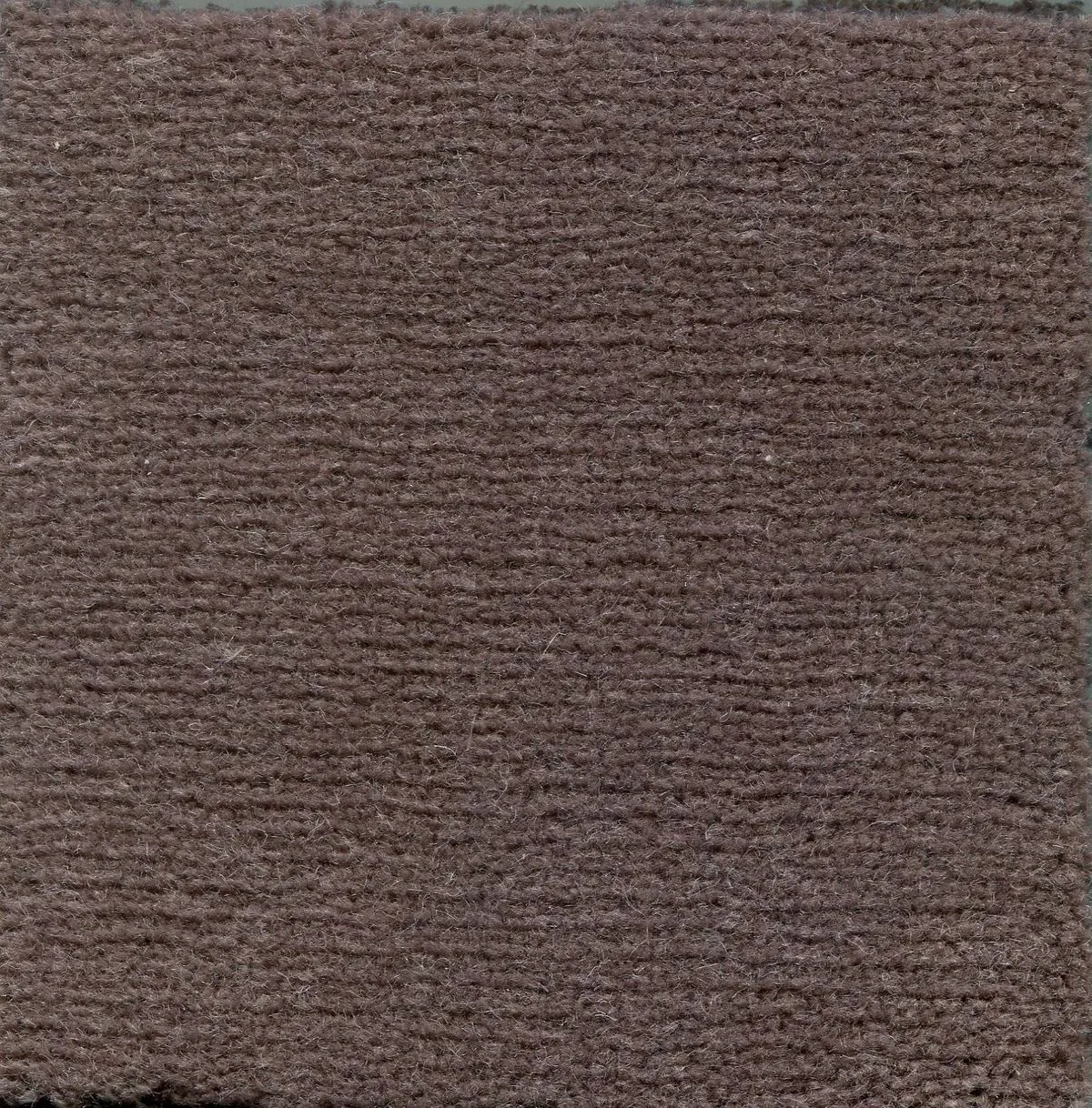 Malaysia Tortora