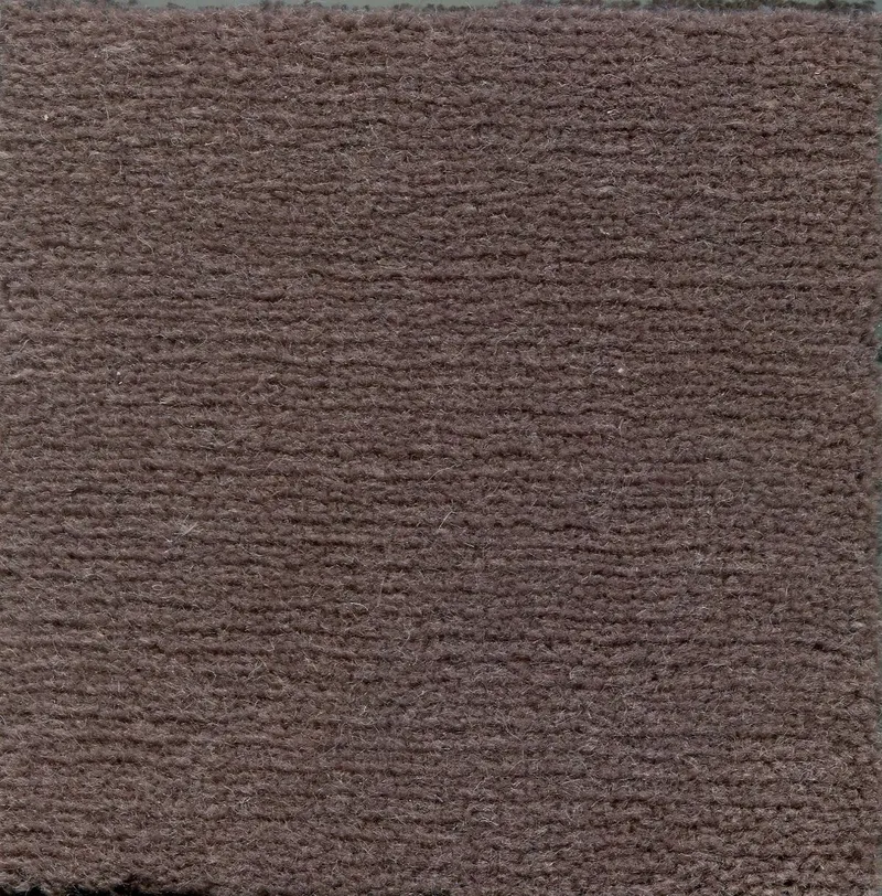 Malaysia Tortora