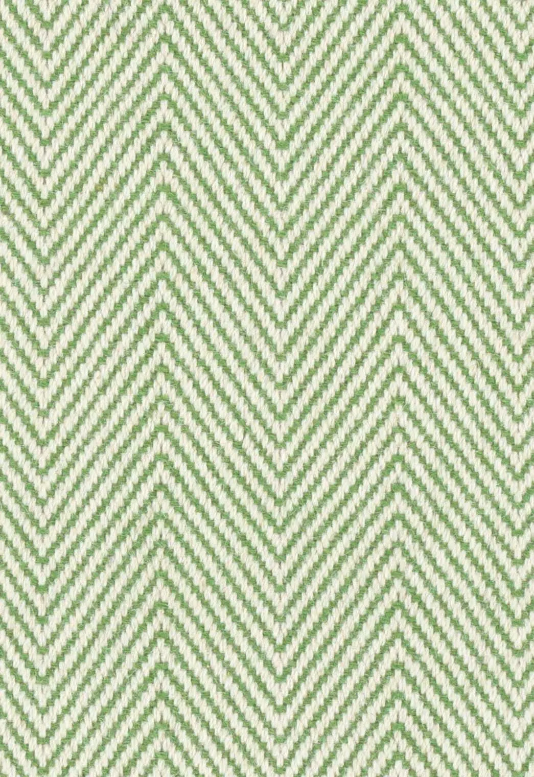 Havana Celery
