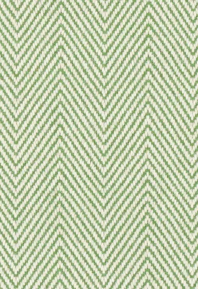 Celery