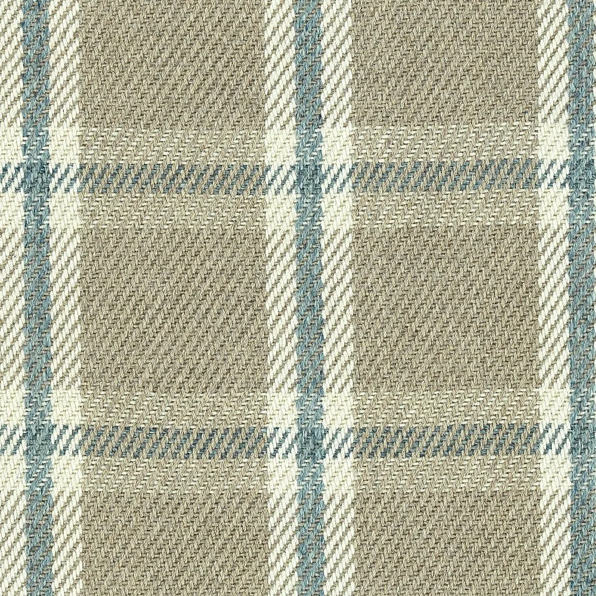 Cartographer Denim