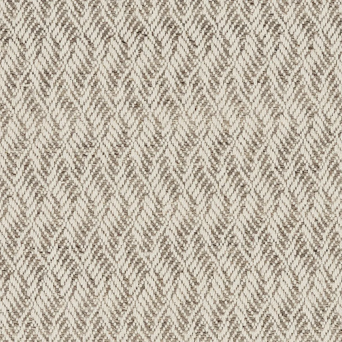 Tortuosities Taupe
