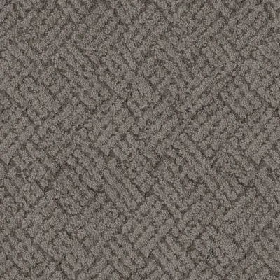 Seal Grey