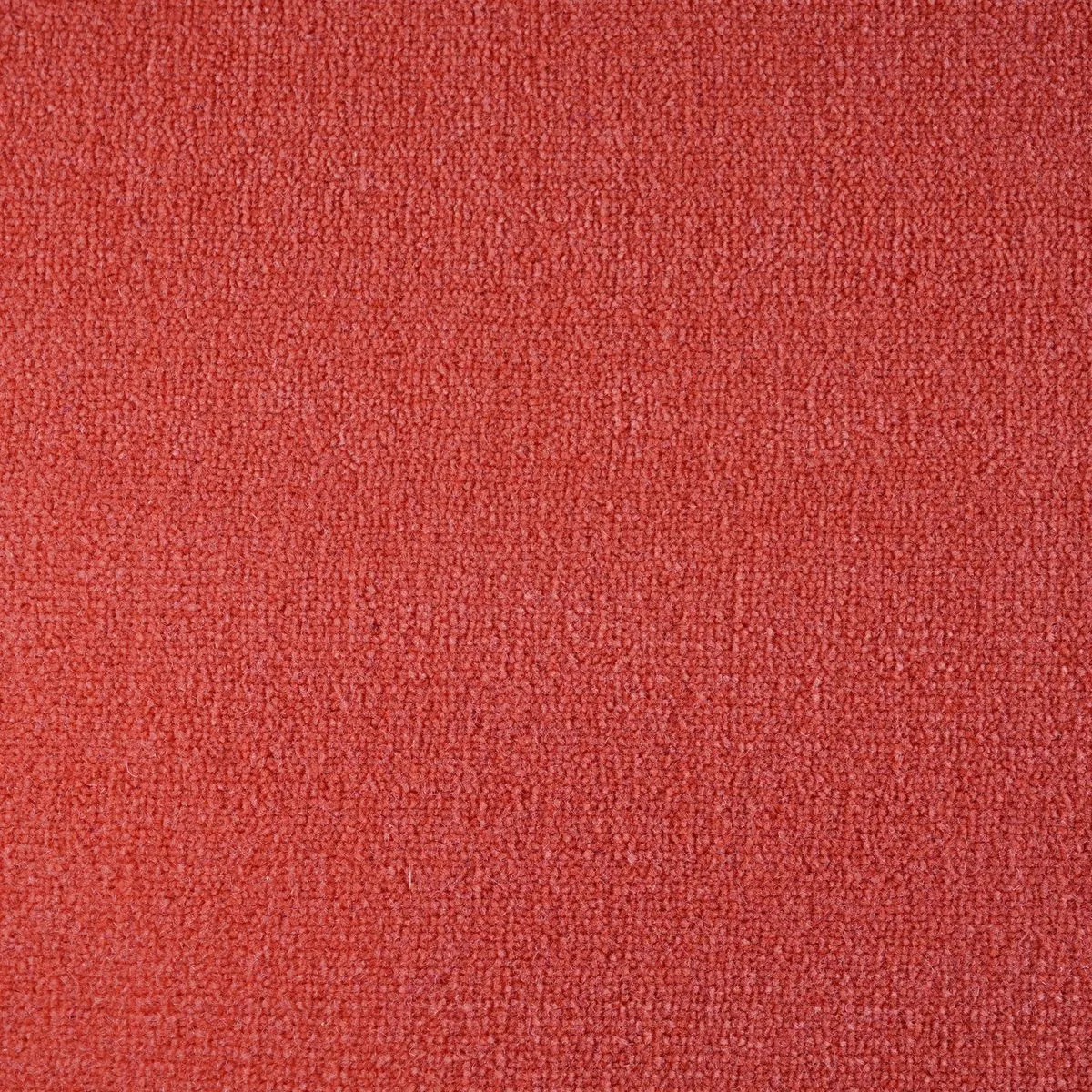 Amsterdam Paprika
