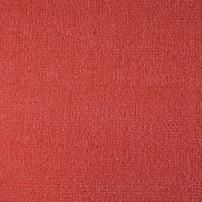 Paprika
