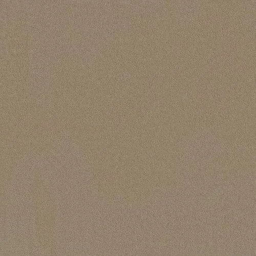 Sophistication Stately Beige