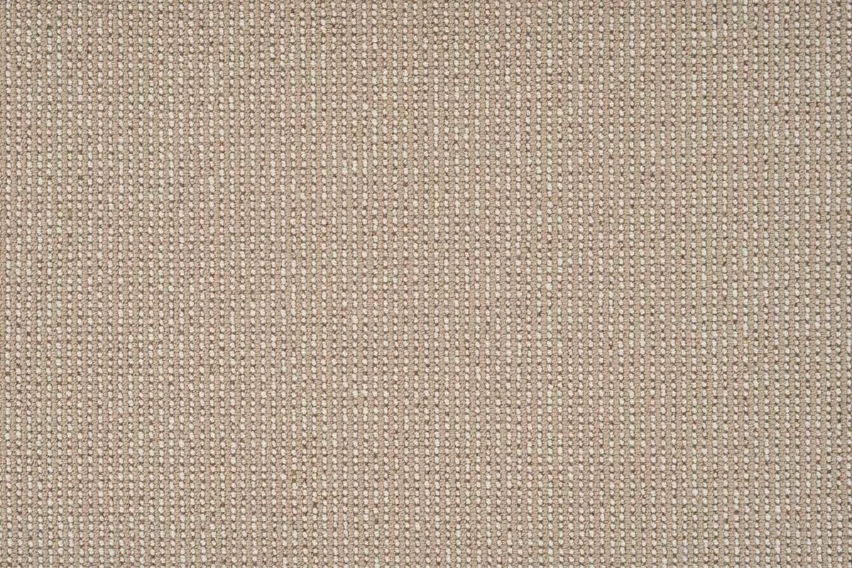 Quarto Canvas