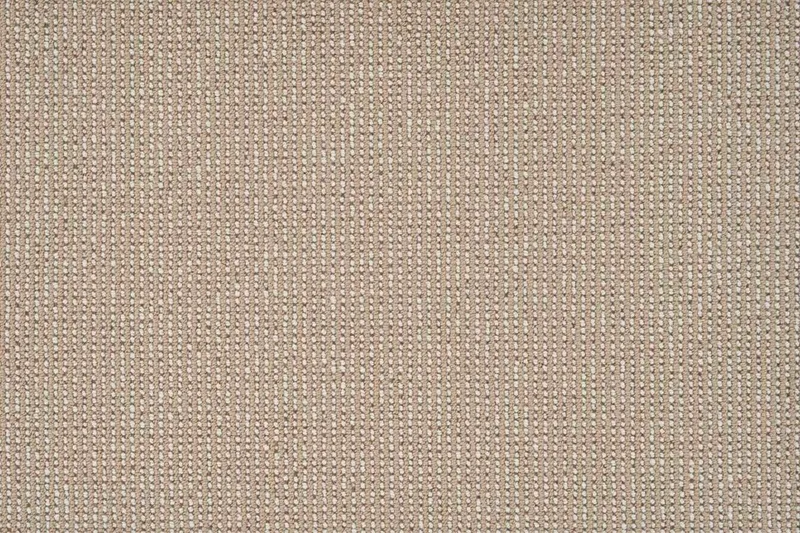 Quarto Canvas