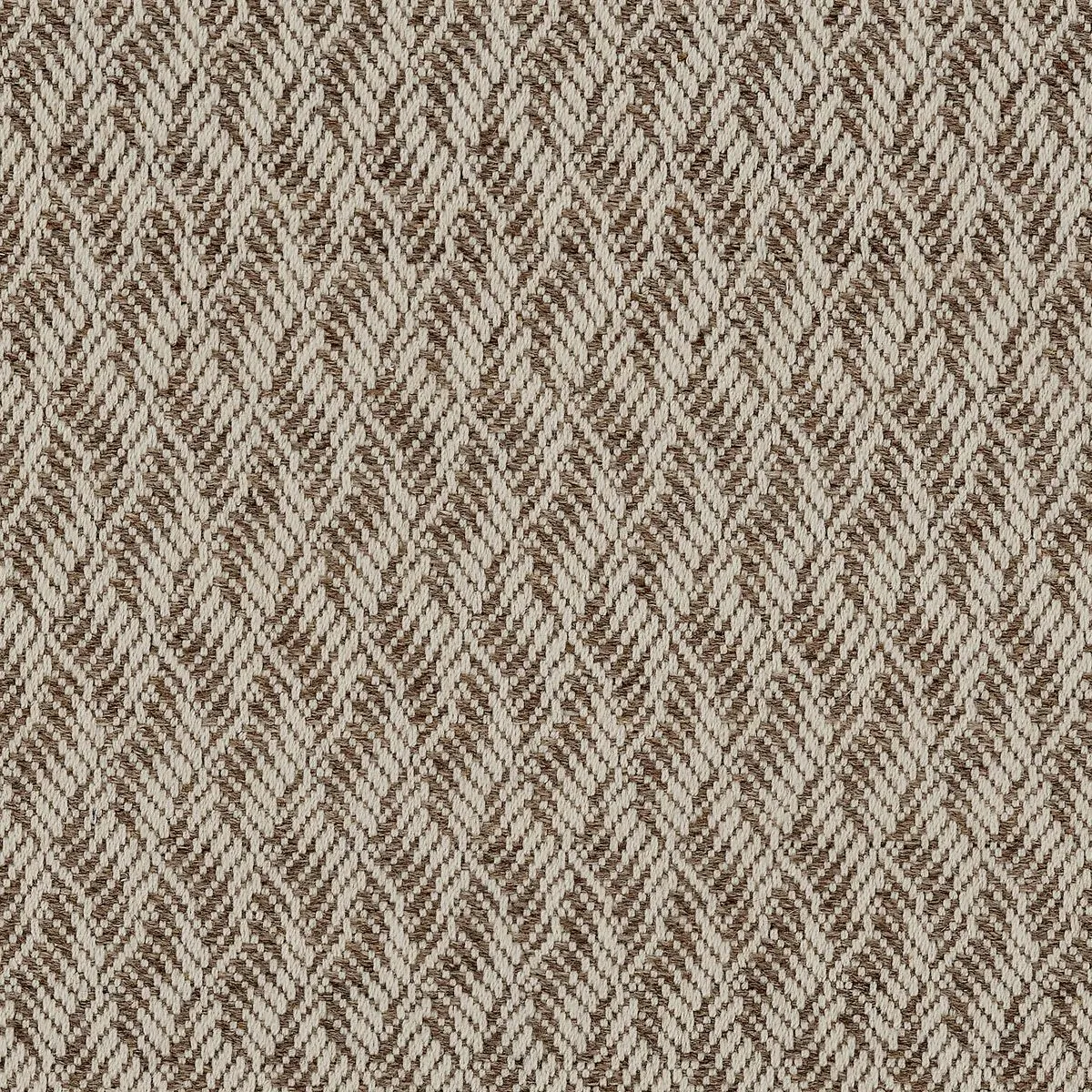Tortuosities Brown