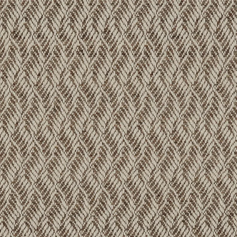 Tortuosities Brown