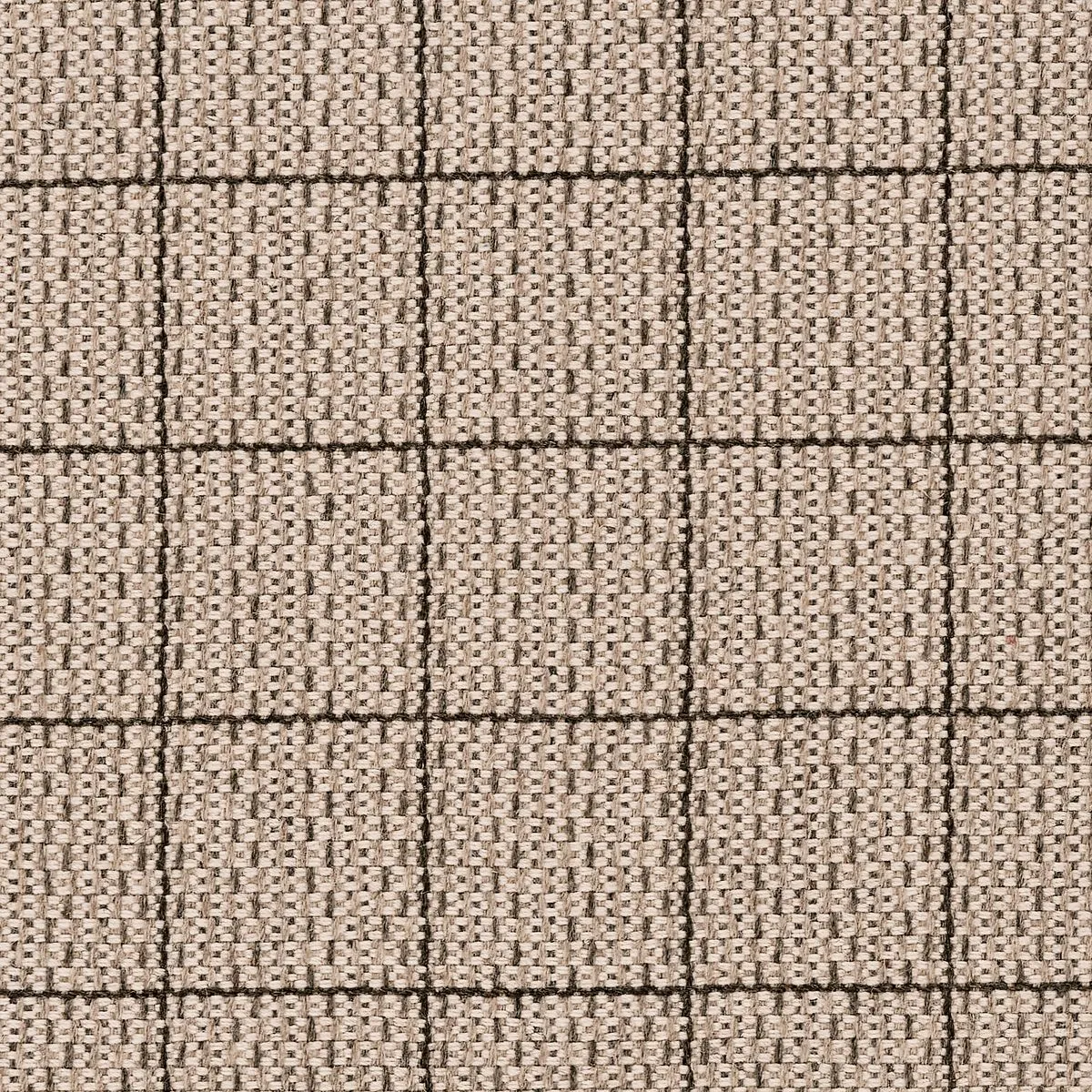Campusing Khaki