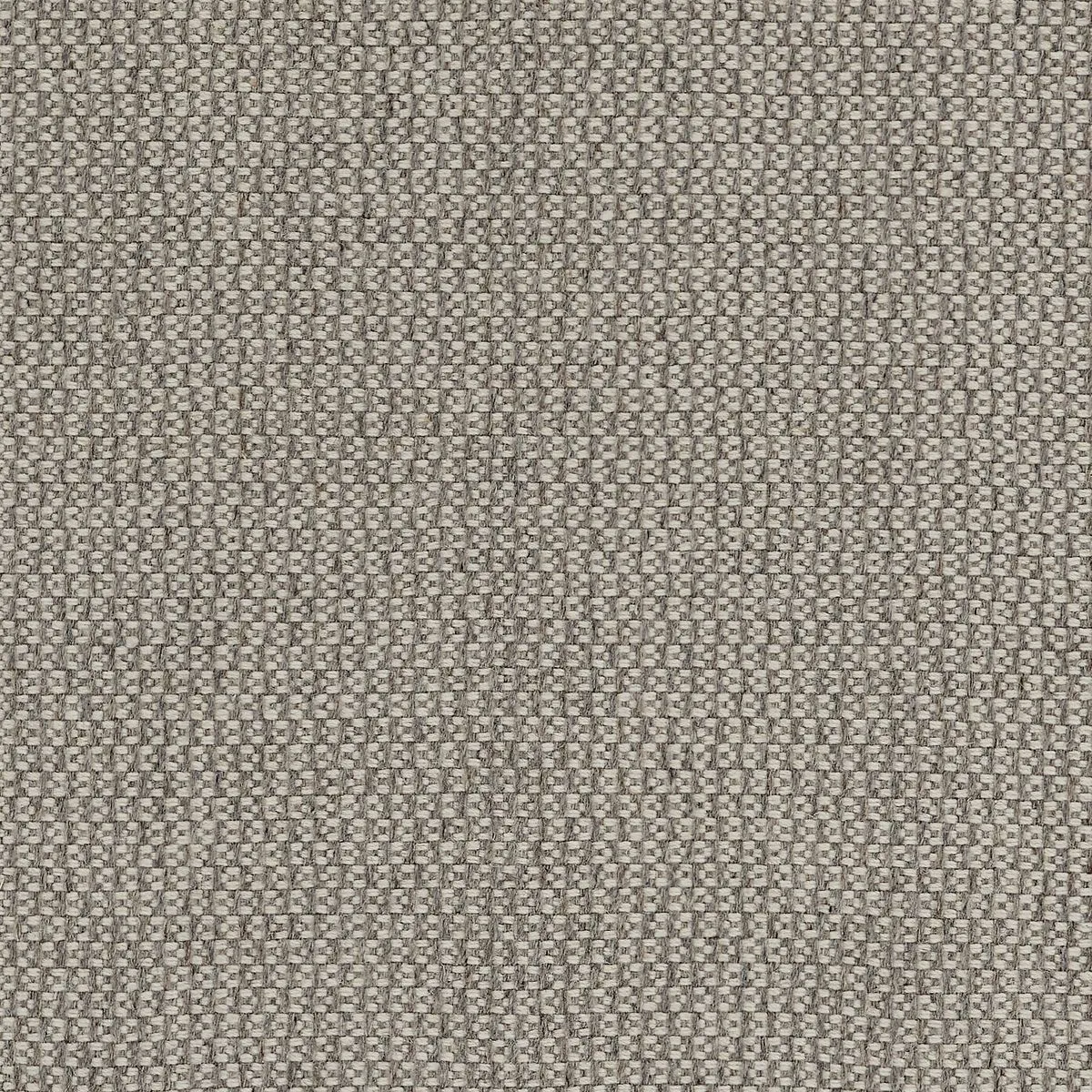 Written Taupe