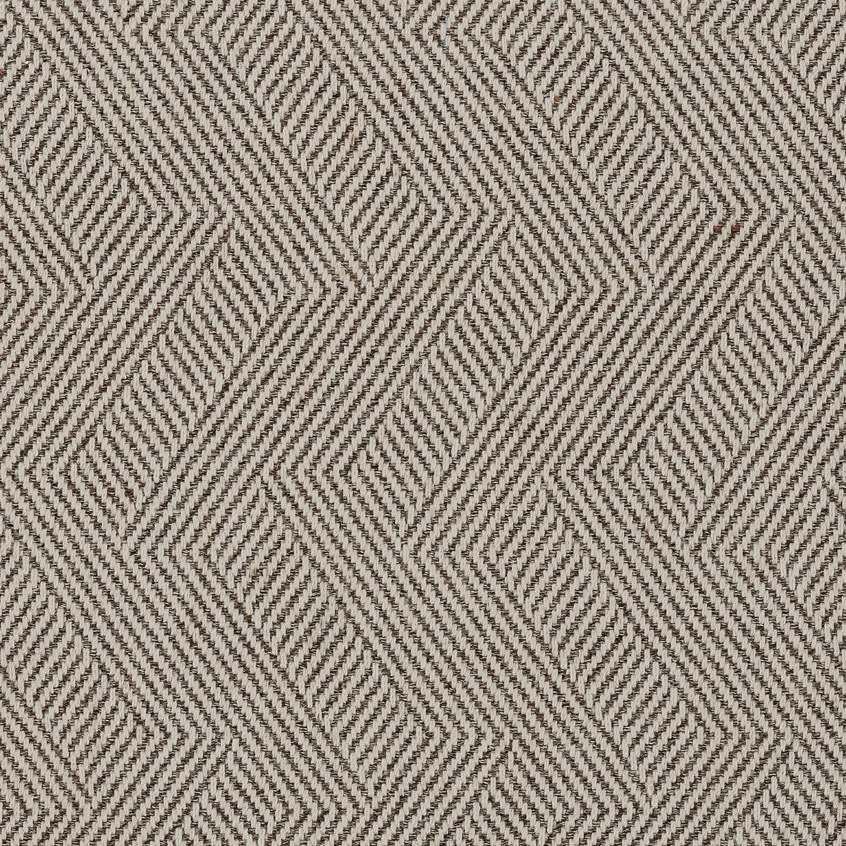 Illustrator Taupe