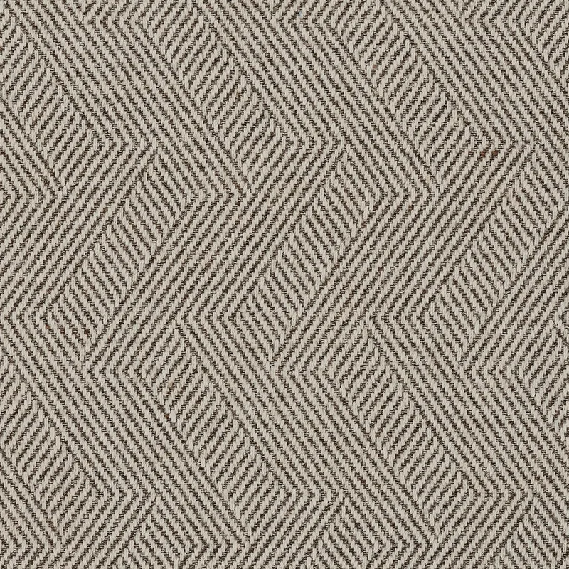 Illustrator Taupe