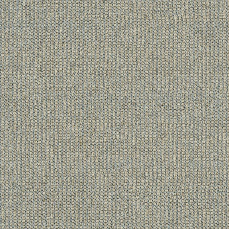 Marshfield Robins Egg