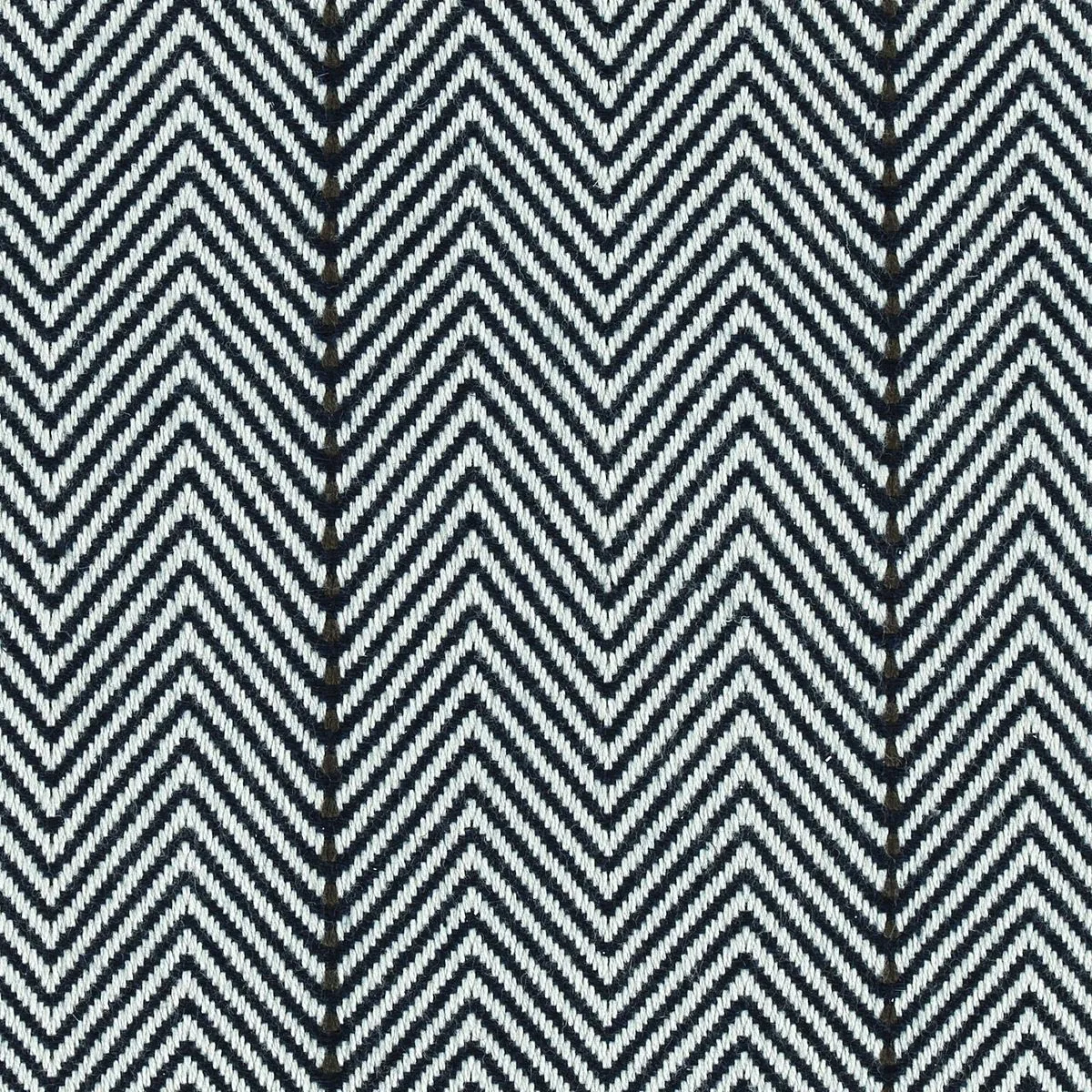 Darcy Navy