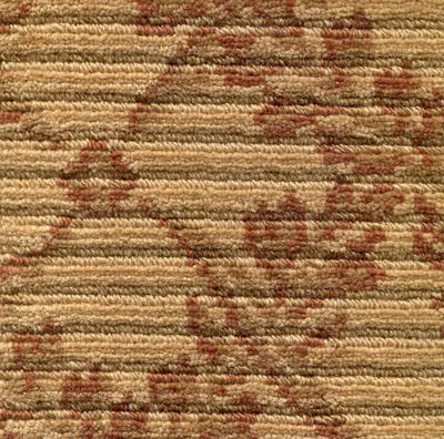 Antilope