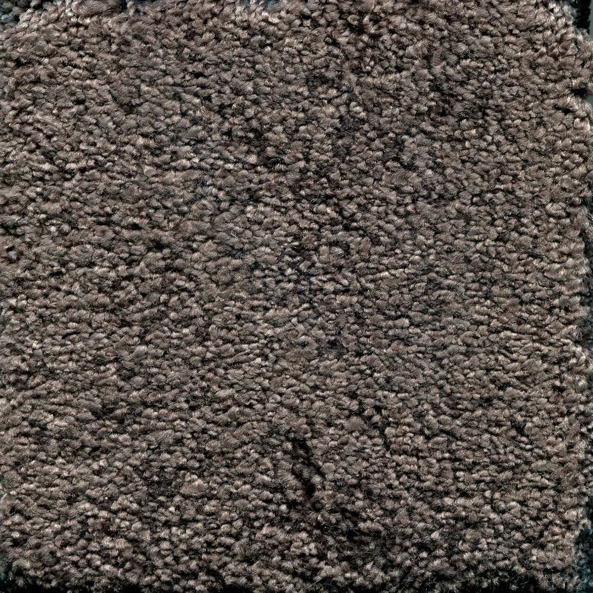 Desert Sand Nichel