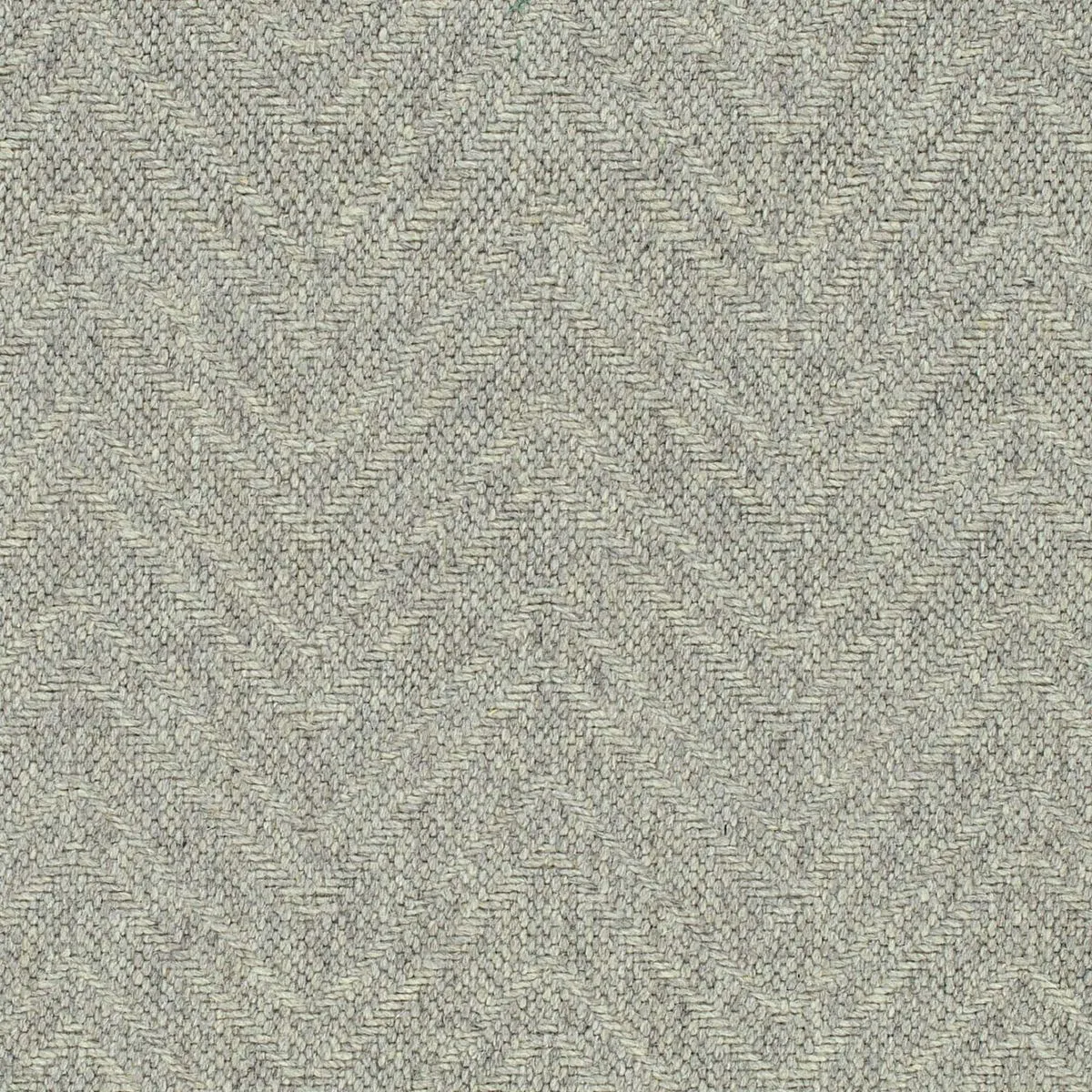 Kauto Star Grey