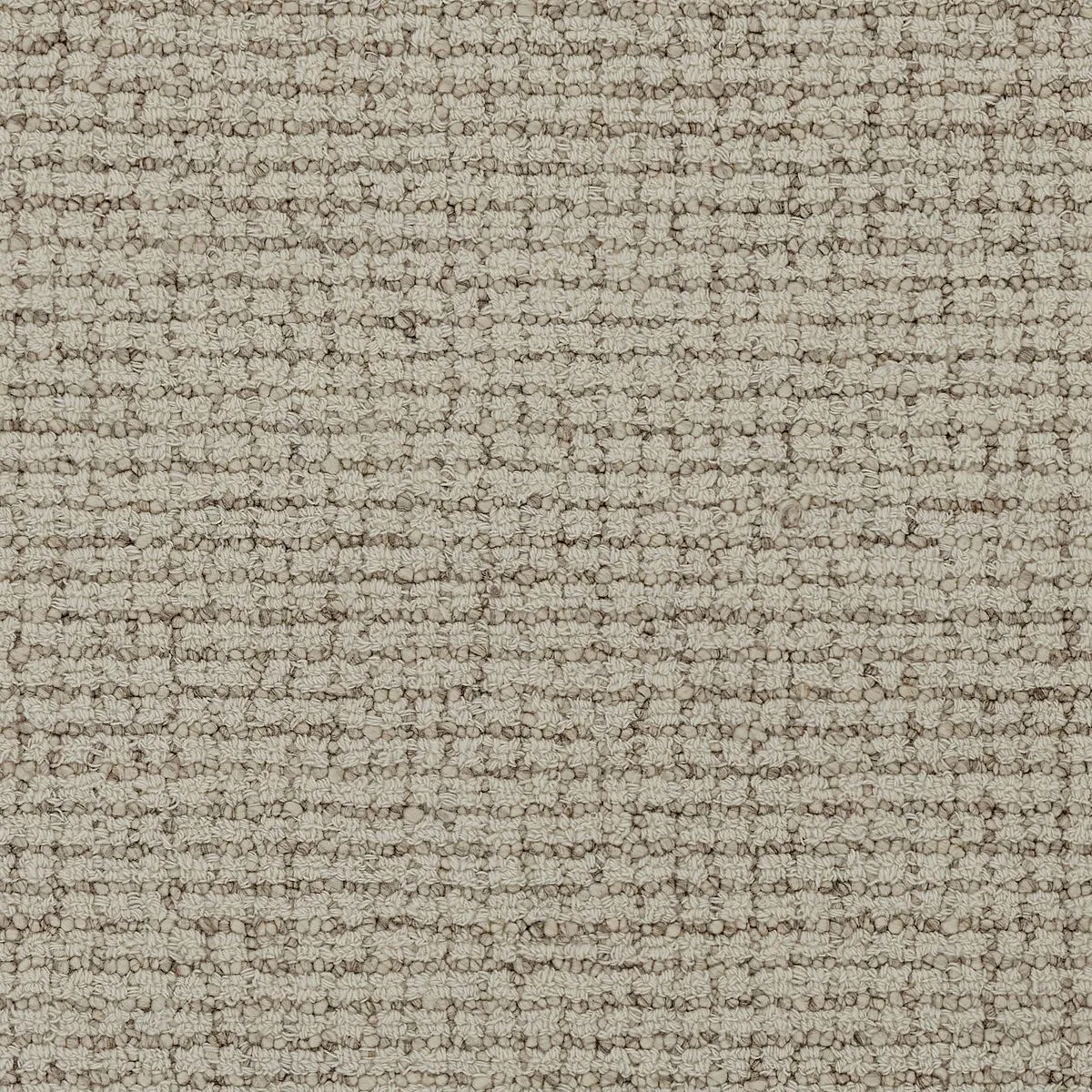 Gregarious Beige
