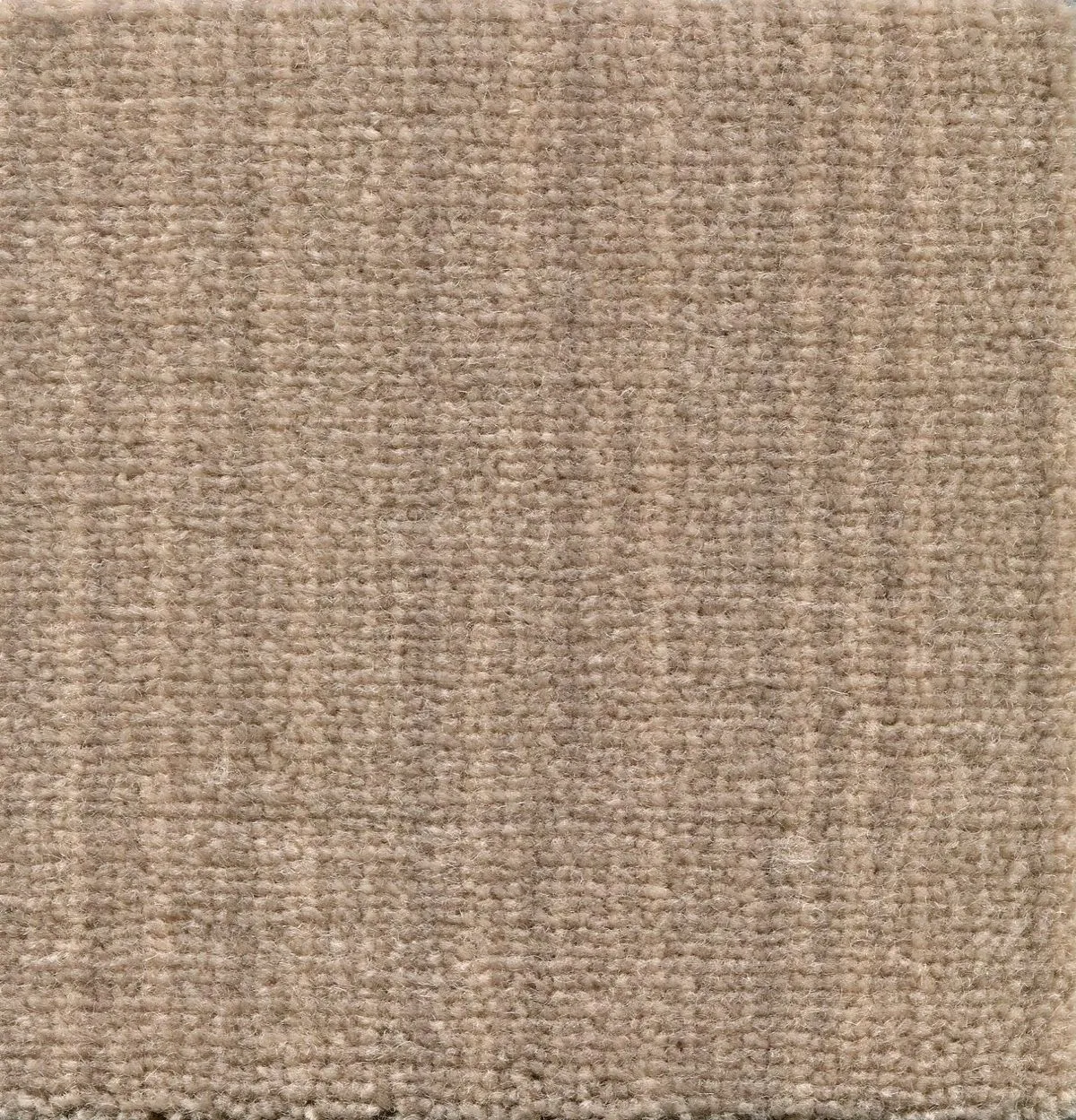 Art Elegance Polvere